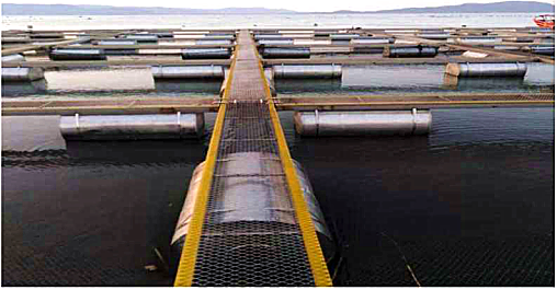 1756979329470011.png 微信图片_20250903173822.png